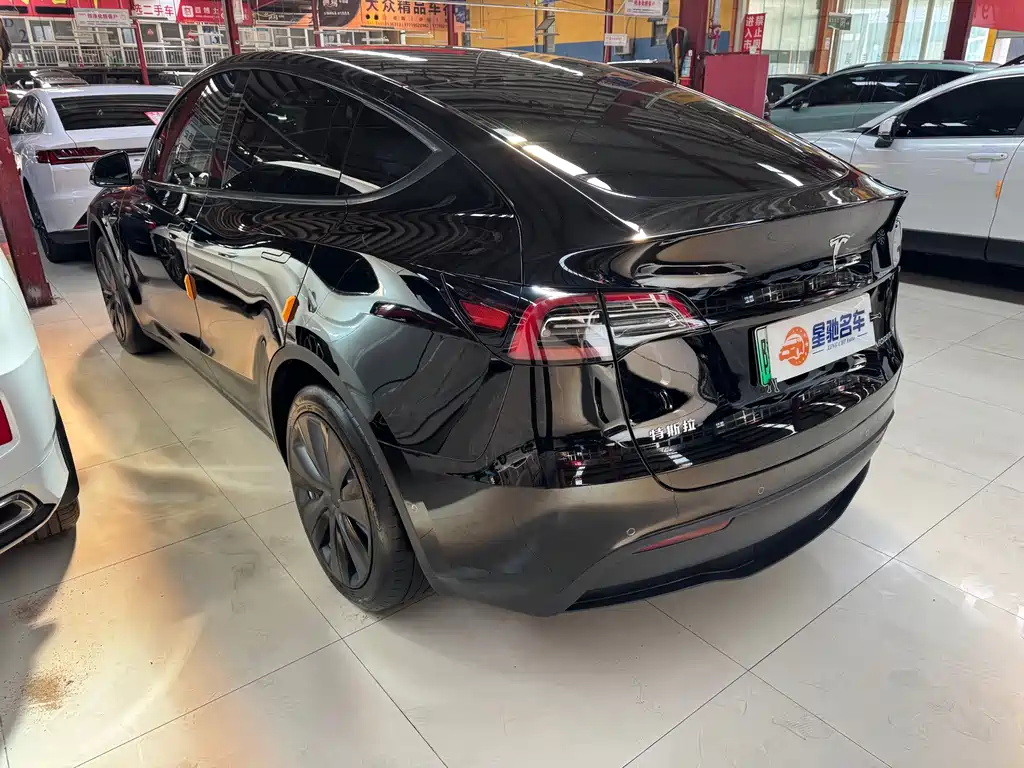 Tesla Model Y — миниатюра 15