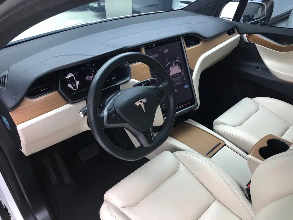 Tesla Model X — миниатюра 9