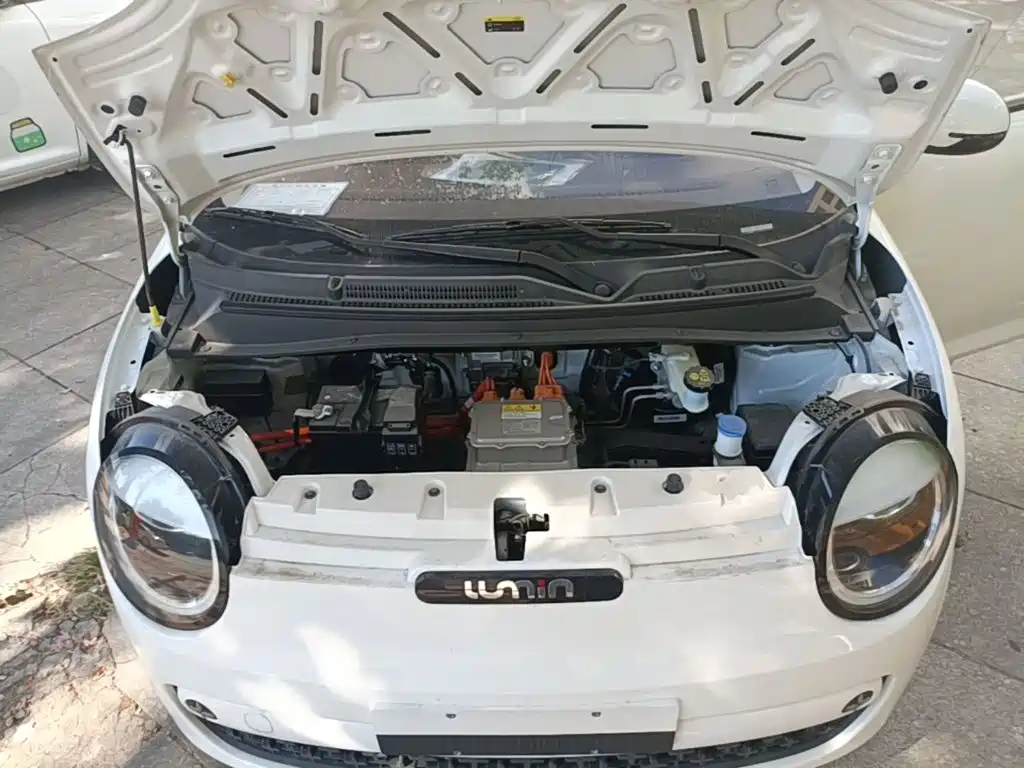Qiyuan Lumin — миниатюра 20