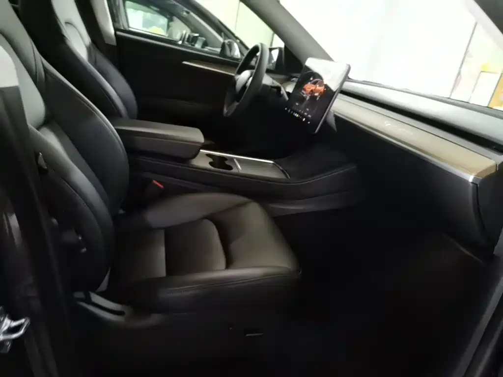 Tesla Model Y — миниатюра 25