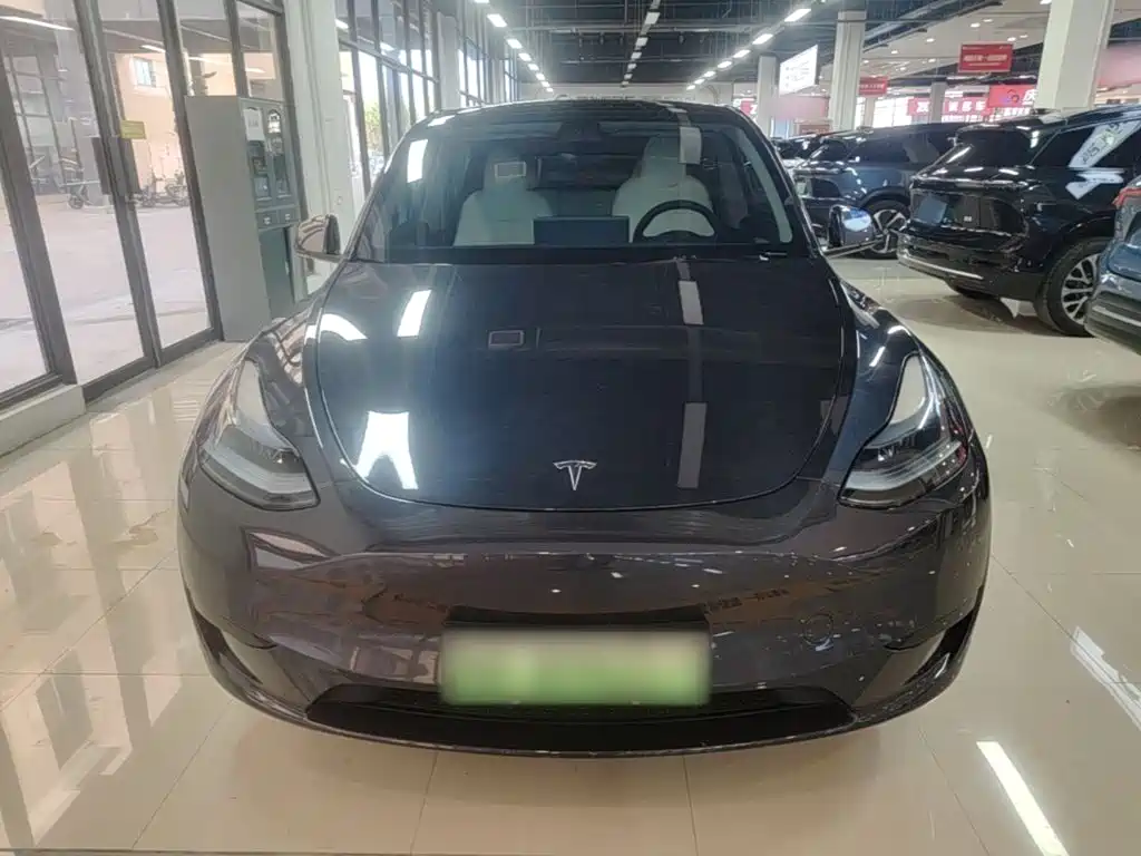 Tesla Model Y — миниатюра 3