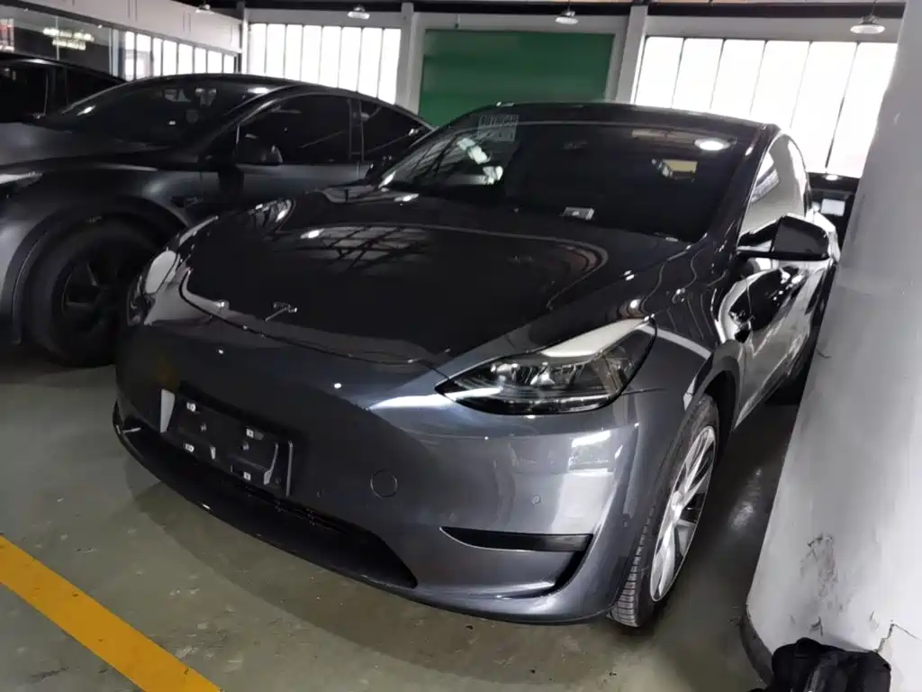 Tesla Model Y — миниатюра 2