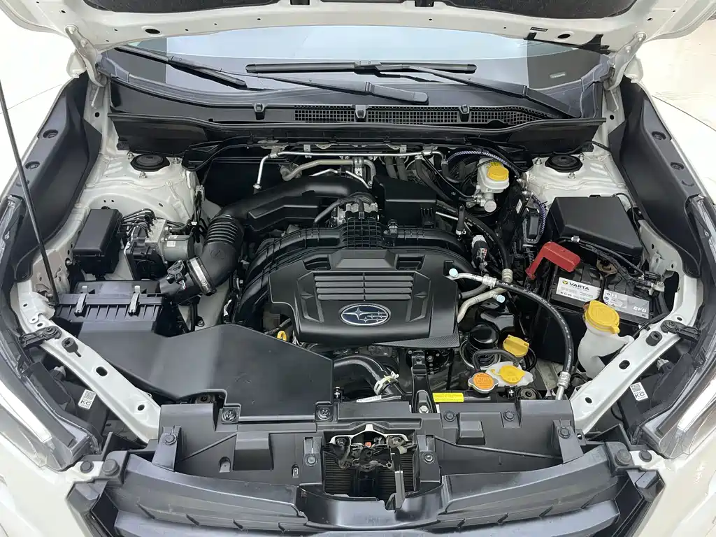 Subaru Forester — миниатюра 31