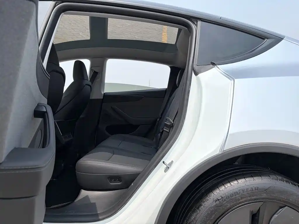 Tesla Model Y — миниатюра 6