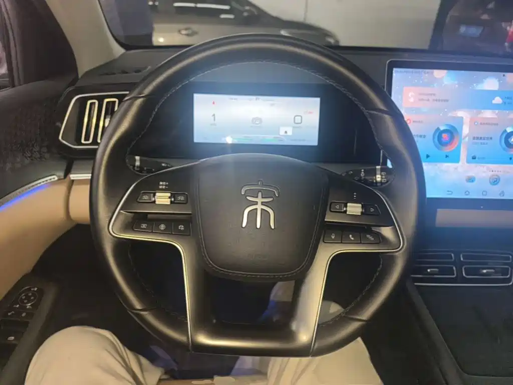 BYD Pro New Energy — миниатюра 11