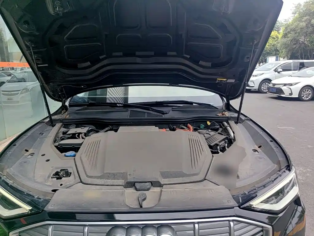 Audi e-tron (Import) — миниатюра 20