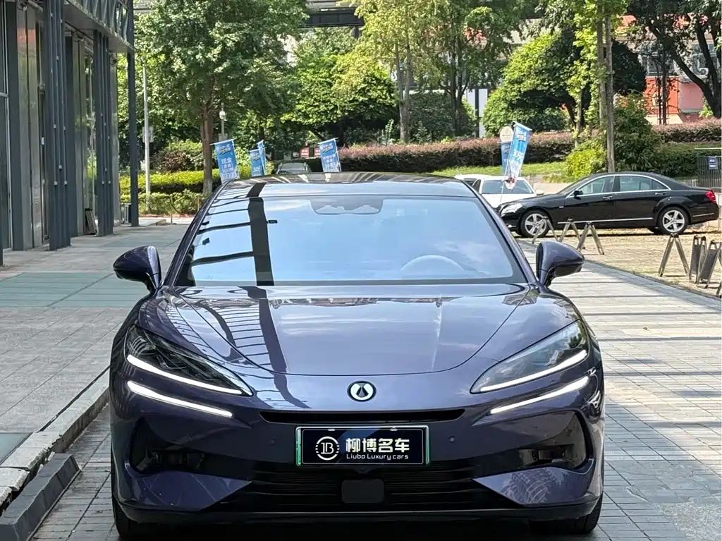 Denza Denza Z9 — миниатюра 2
