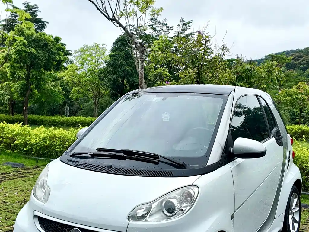 smart Smart Fortwo — миниатюра 40