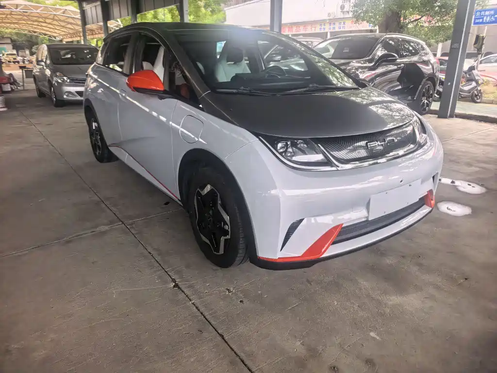 BYD Dolphin 2021 405km Fashion
