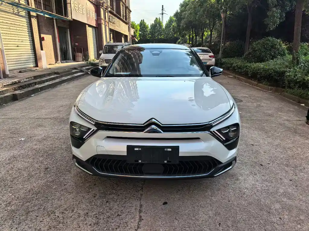 Citroen C5 X — миниатюра 2