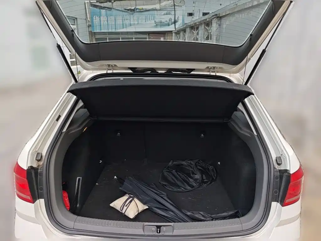 Volkswagen Gran Lavida — миниатюра 24