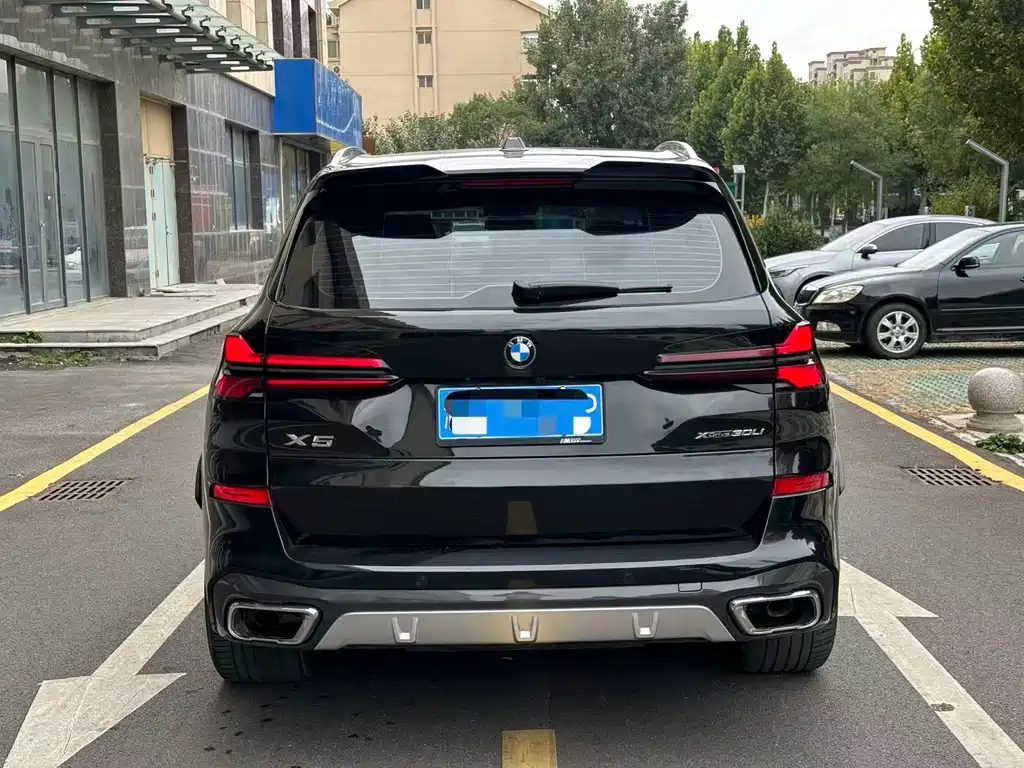 BMW X5 — миниатюра 5