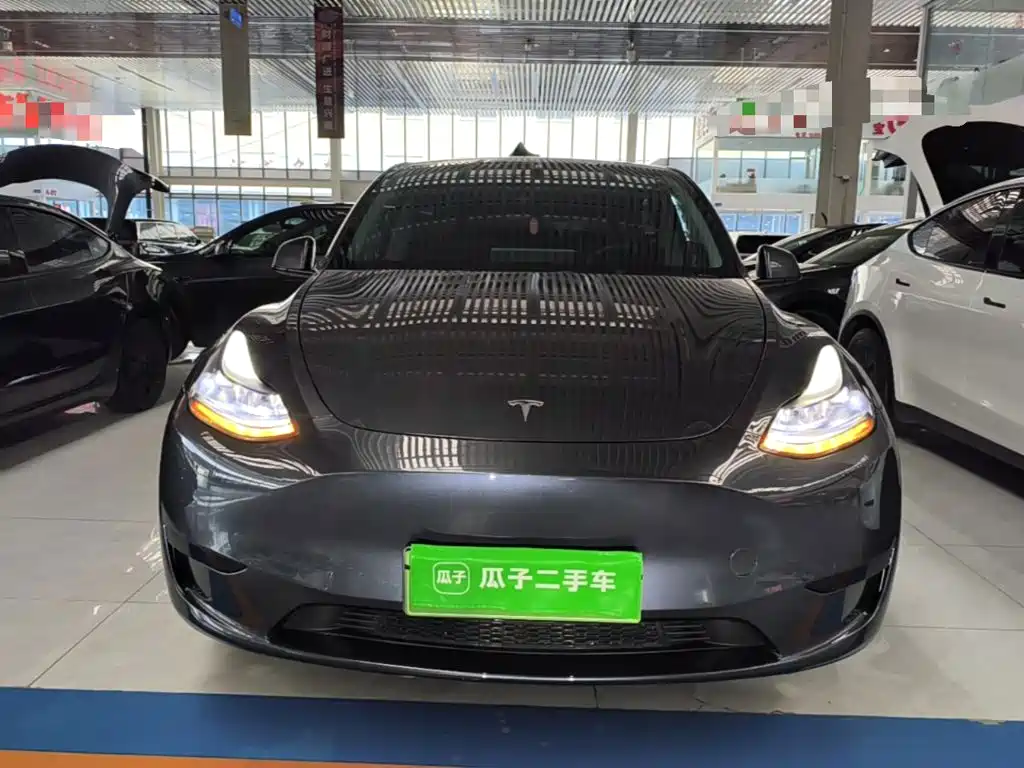 Tesla Model Y — миниатюра 3