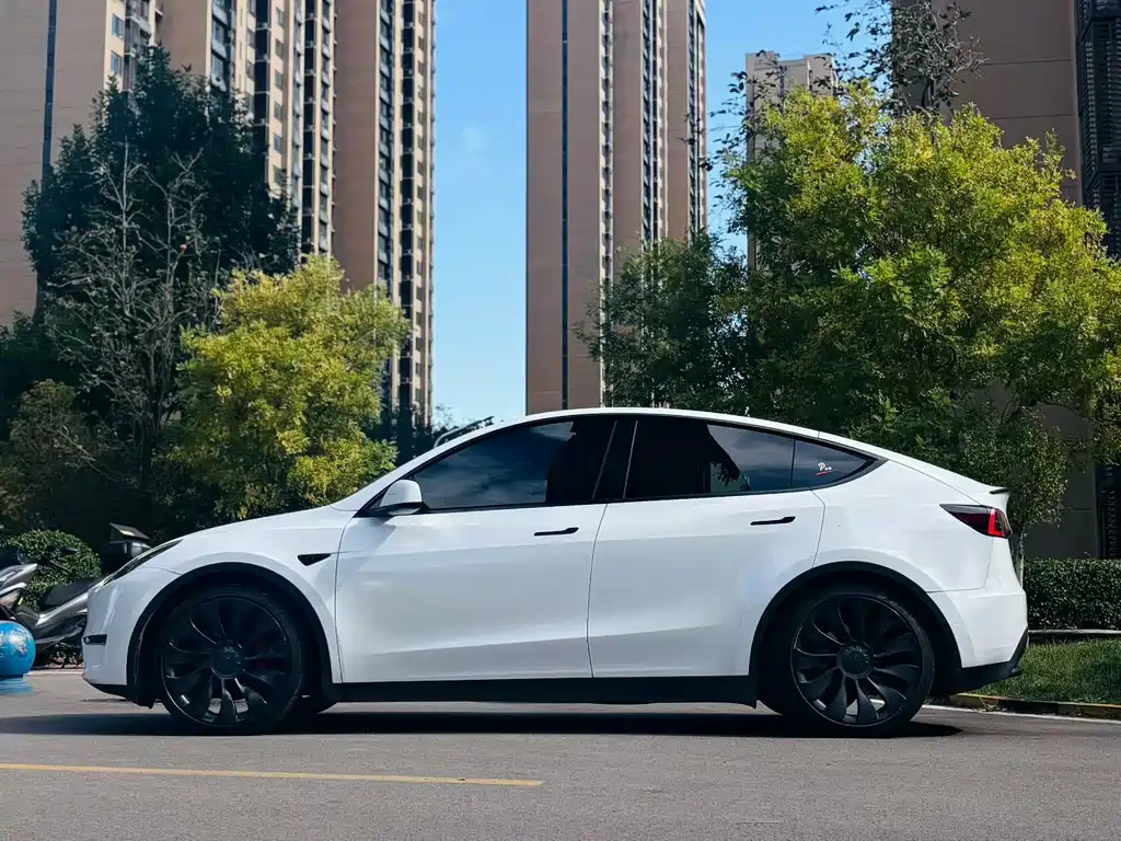 Tesla Model Y — миниатюра 4