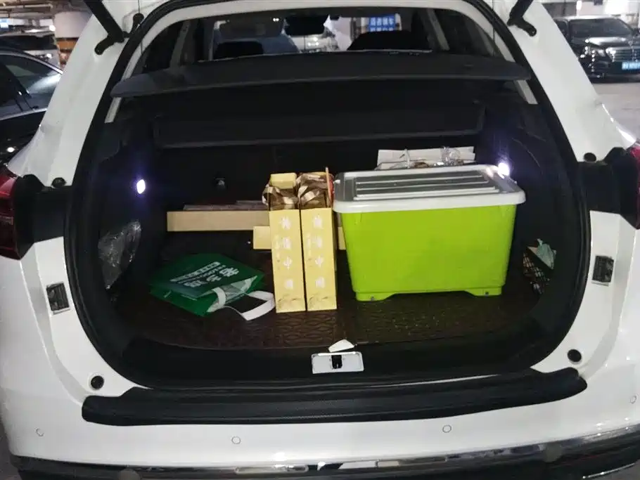 Hongqi HS5 2019 2.0T