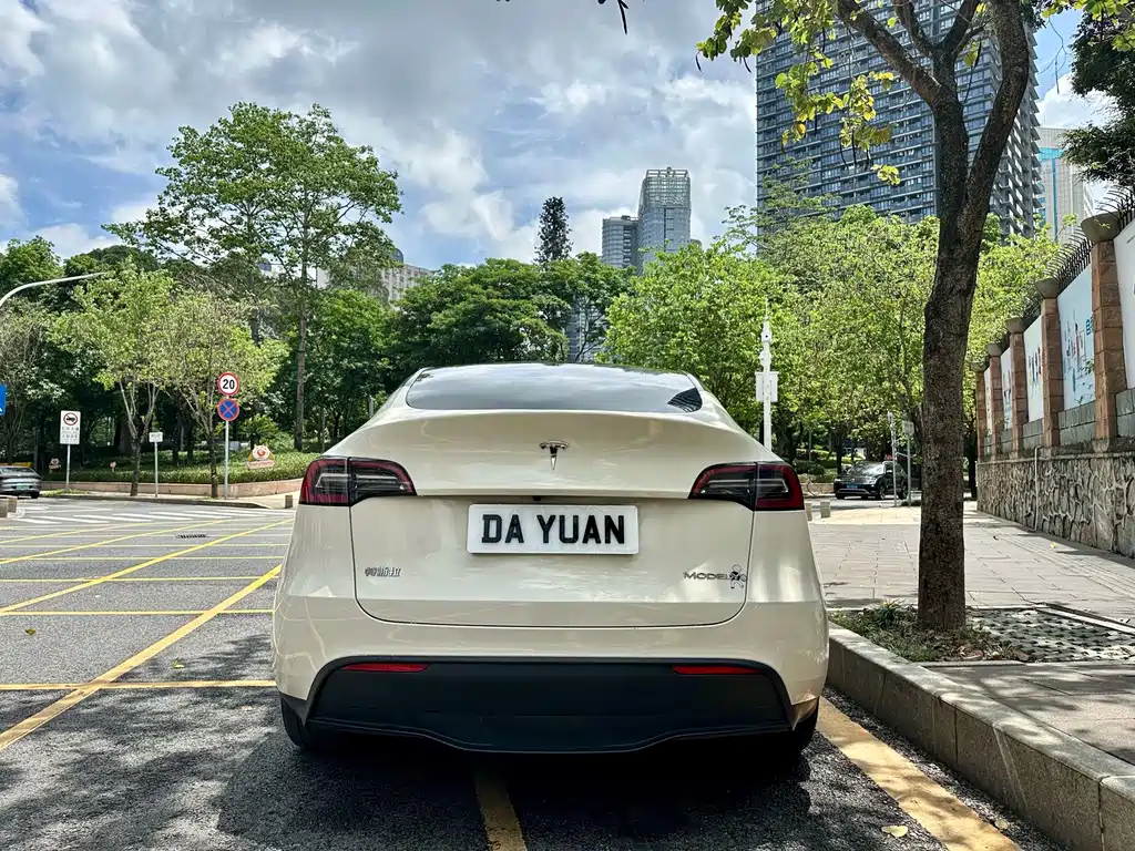 Tesla Model Y — миниатюра 5