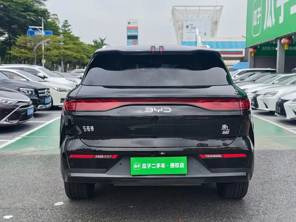 BYD Tang L - фото 4