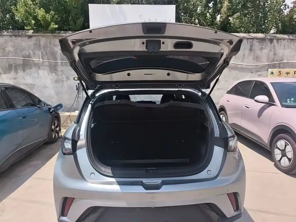 BYD Dolphin — миниатюра 19