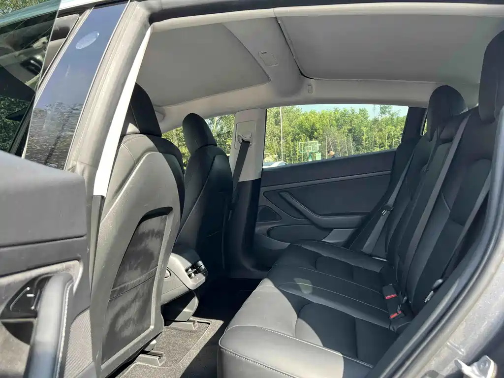 Tesla Model 3 — миниатюра 5