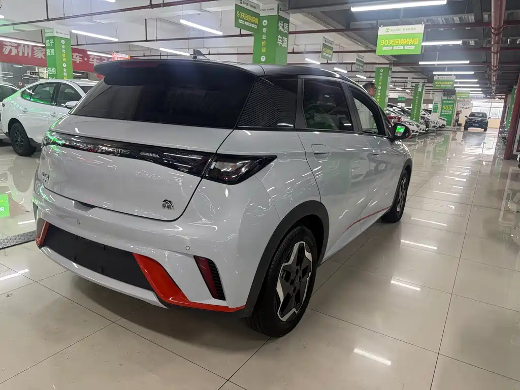 BYD Dolphin - фото 5