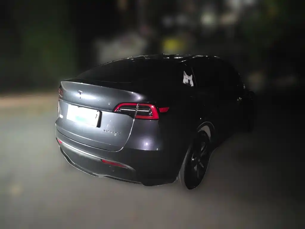 Tesla Model Y — миниатюра 4
