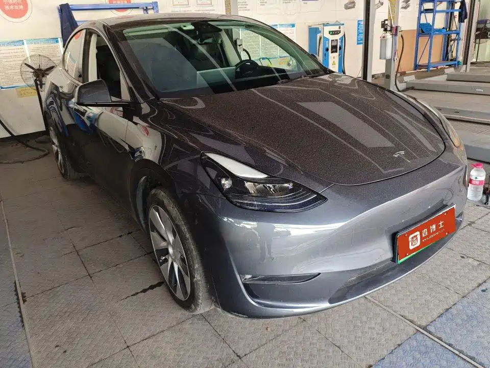 Tesla Model Y — миниатюра 2