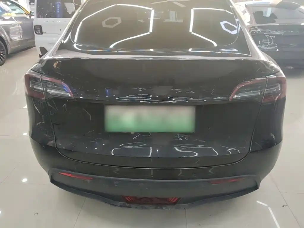 Tesla Model Y — миниатюра 6