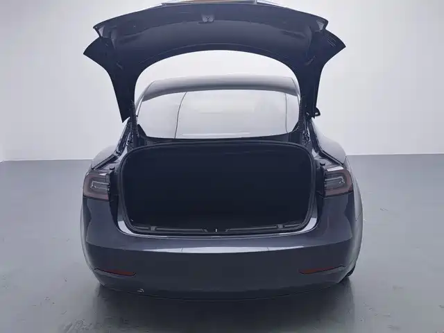 Tesla Model 3 — миниатюра 16