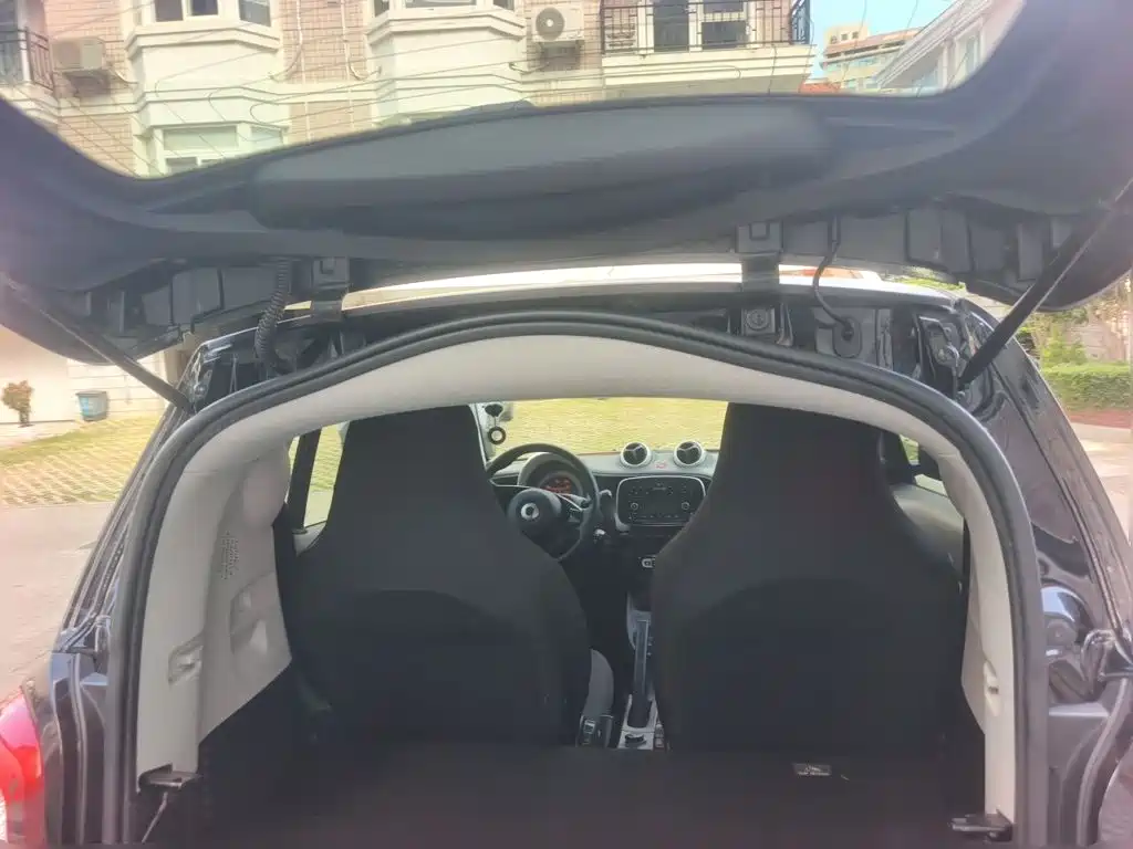 smart Smart Fortwo — миниатюра 15