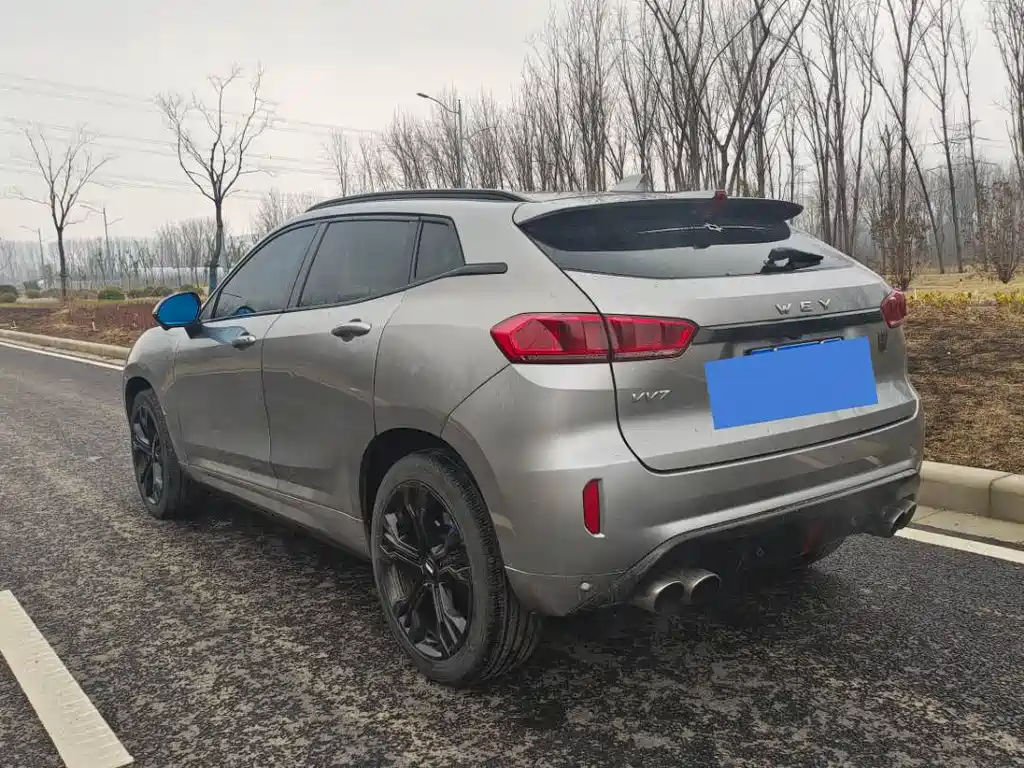 WEI PAI WEI BRAND VV7