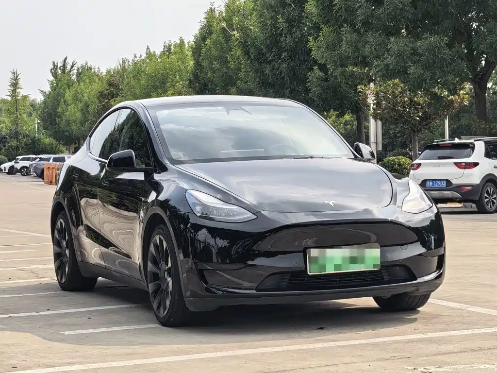 Tesla Model Y — миниатюра 3
