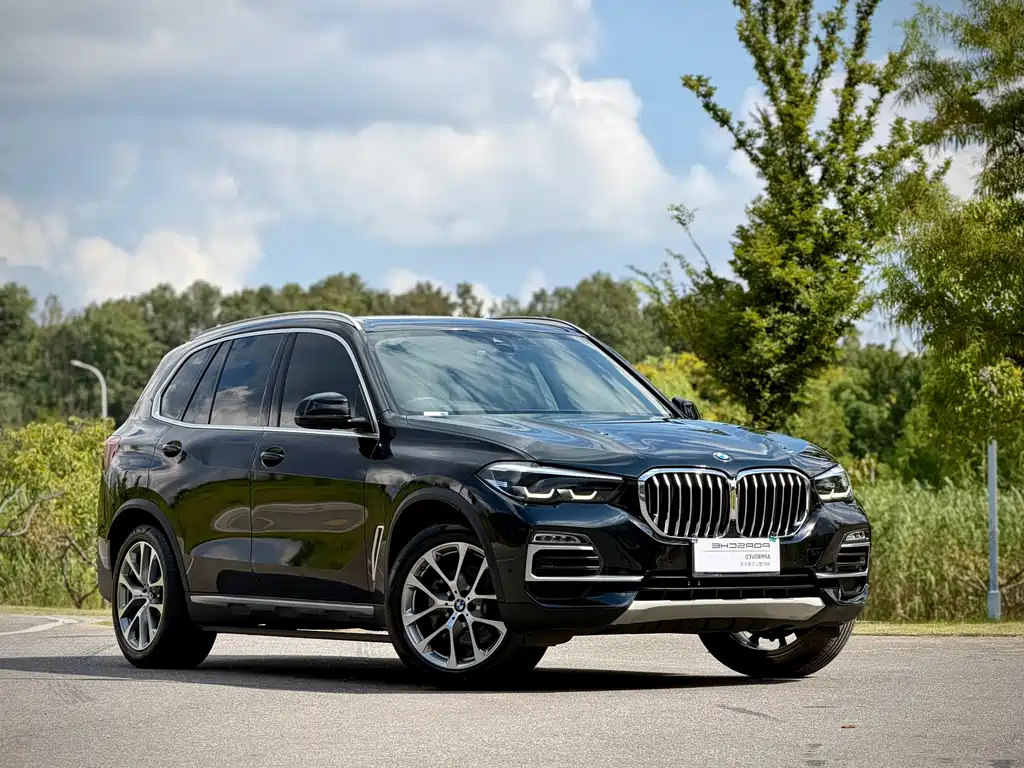 BMW X5 (Import) — миниатюра 5
