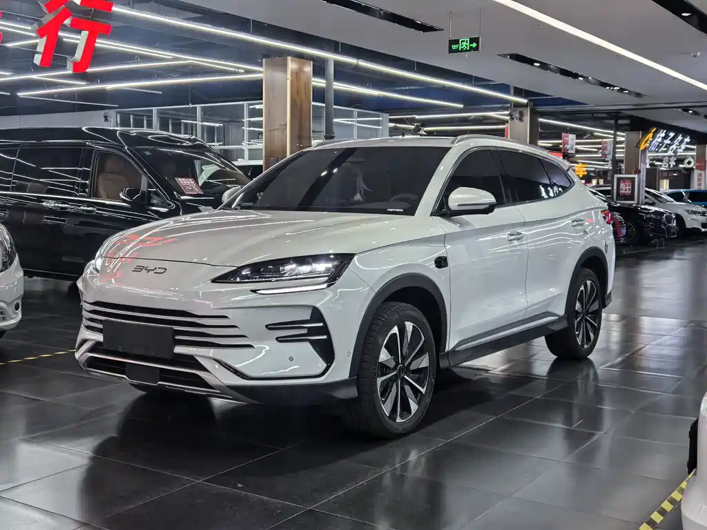 BYD PLUS New Energy