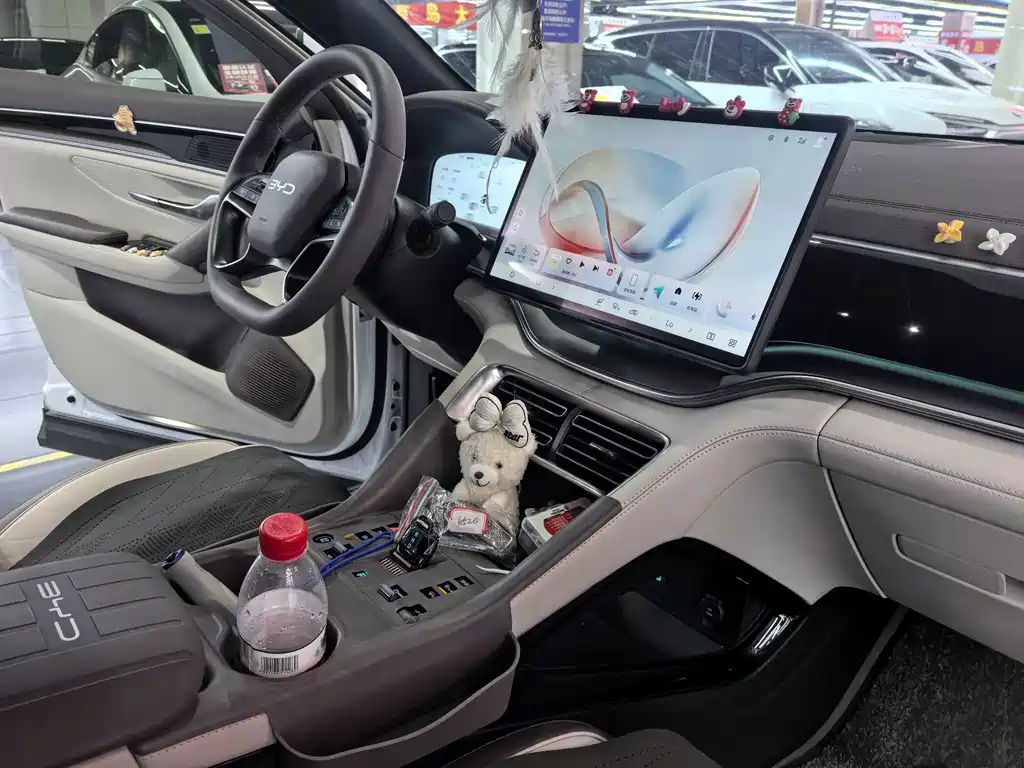BYD PLUS New Energy — миниатюра 11