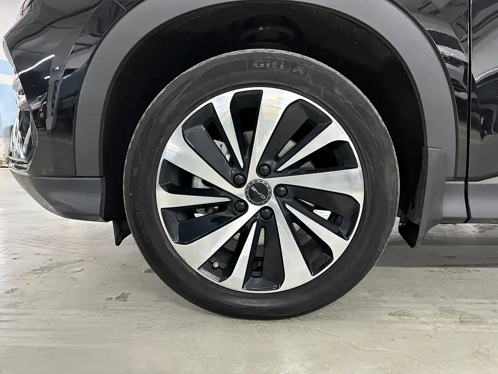 BYD SONGJIANG NEW ENERGY