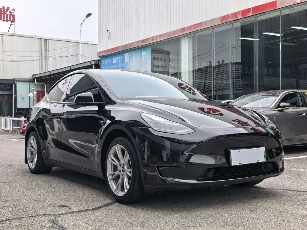 Tesla Model Y — миниатюра 3