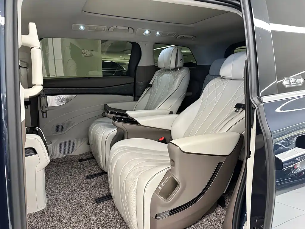 Denza Denza D9 — миниатюра 13
