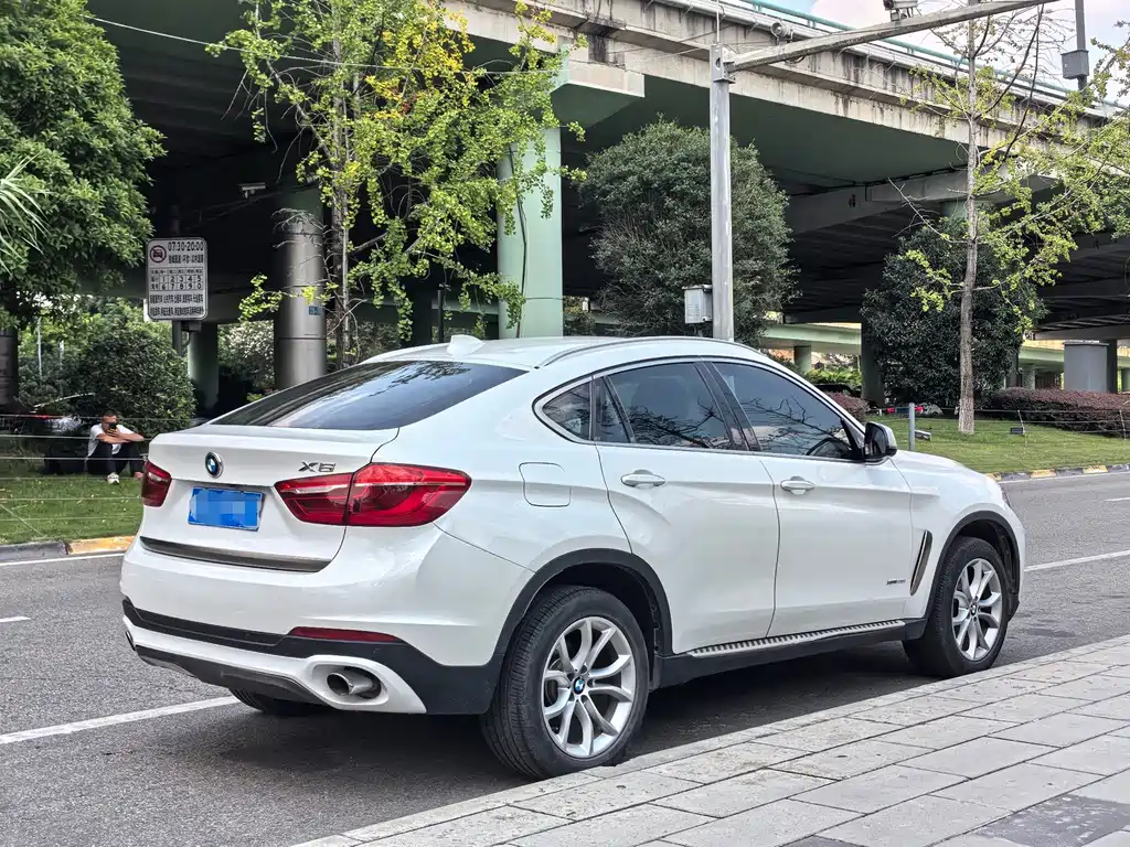 BMW X6 — миниатюра 6