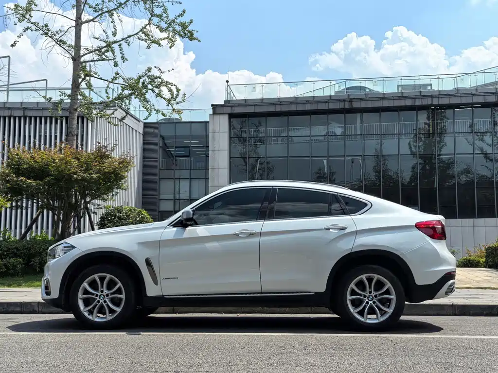 BMW X6 — миниатюра 7