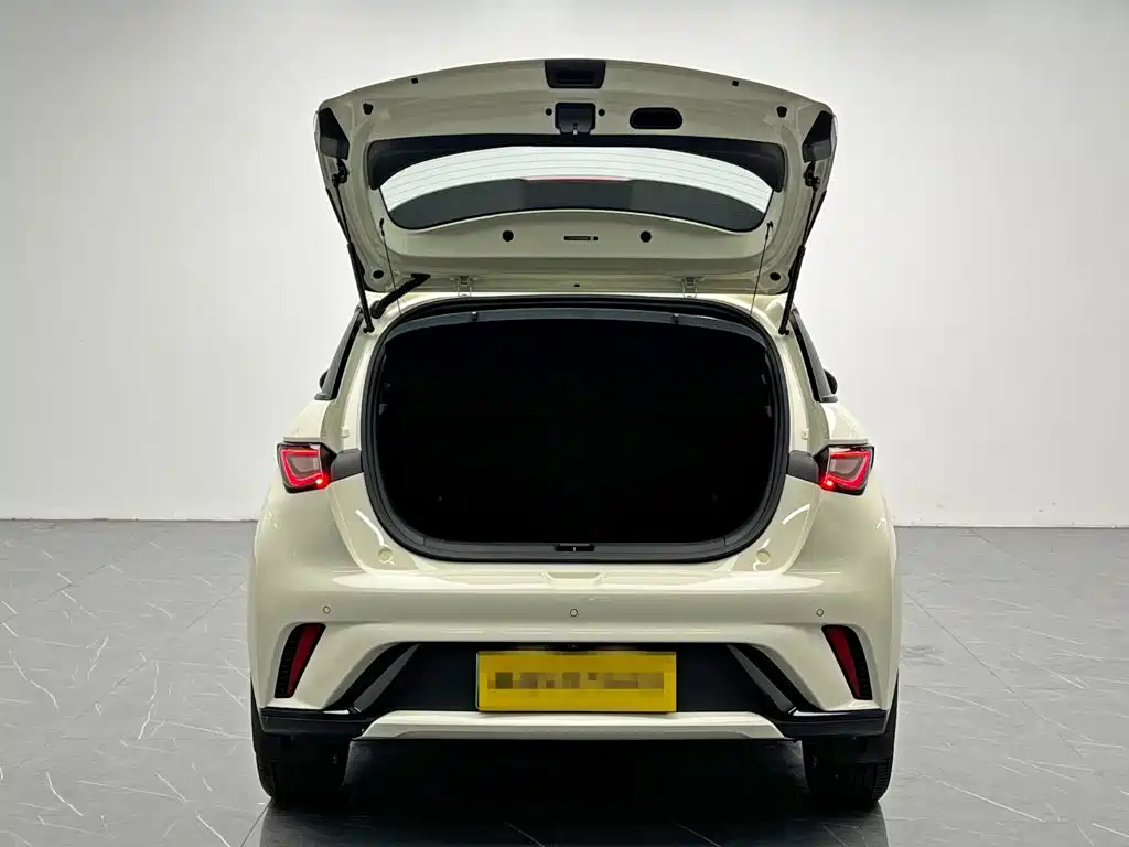 BYD Dolphin — миниатюра 11