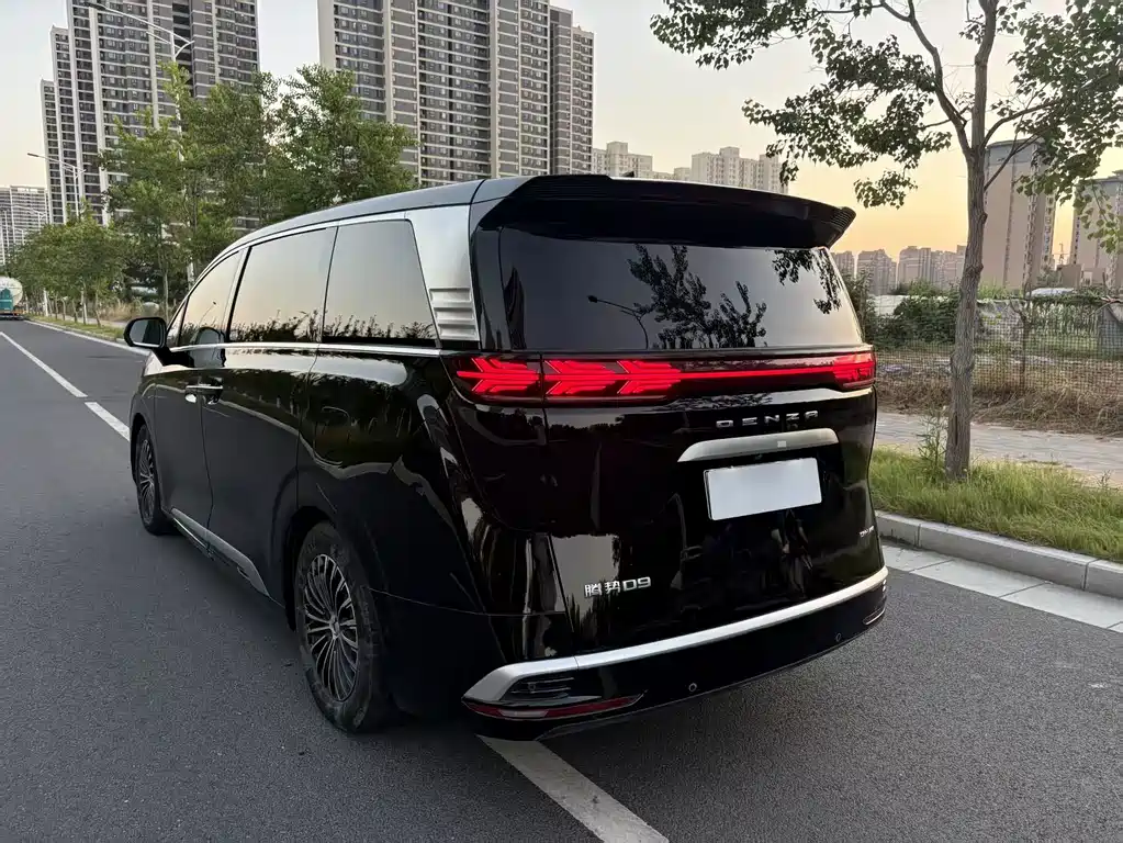 Denza Denza D9 — миниатюра 8