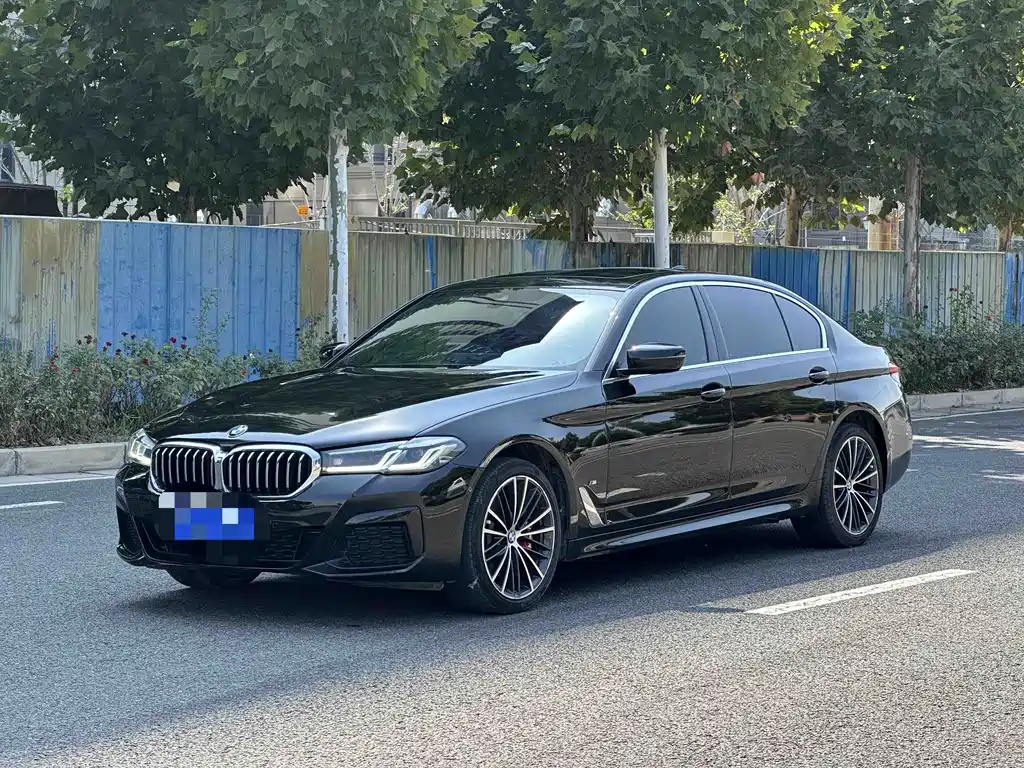BMW 5 Series — миниатюра 2