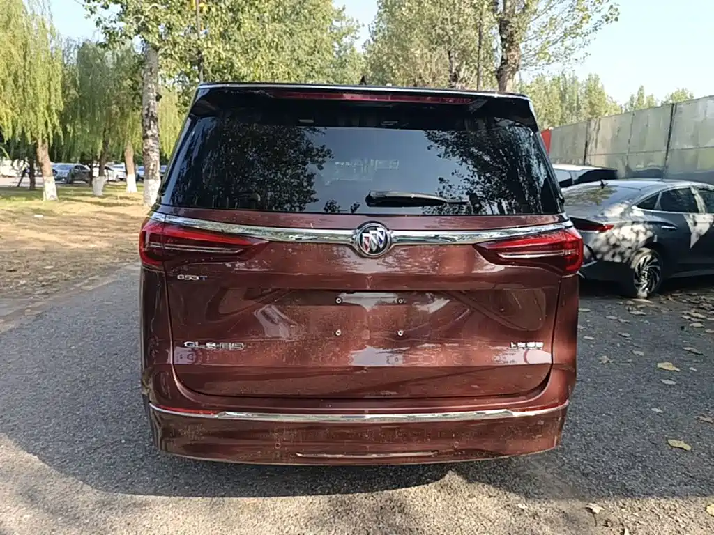 Buick GL8 — миниатюра 6