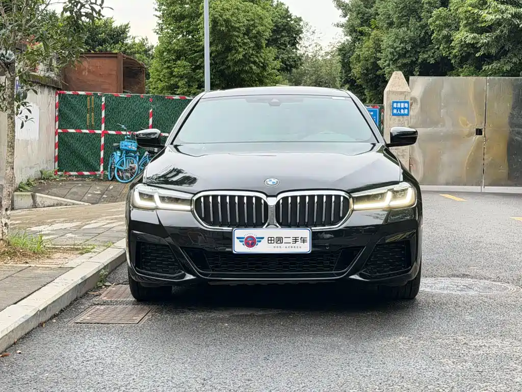 BMW 5 Series — миниатюра 2