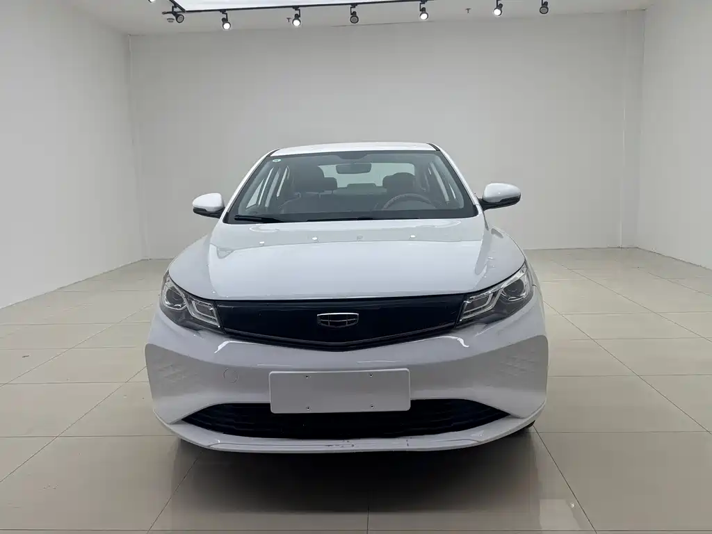 Geely New Energy — миниатюра 6