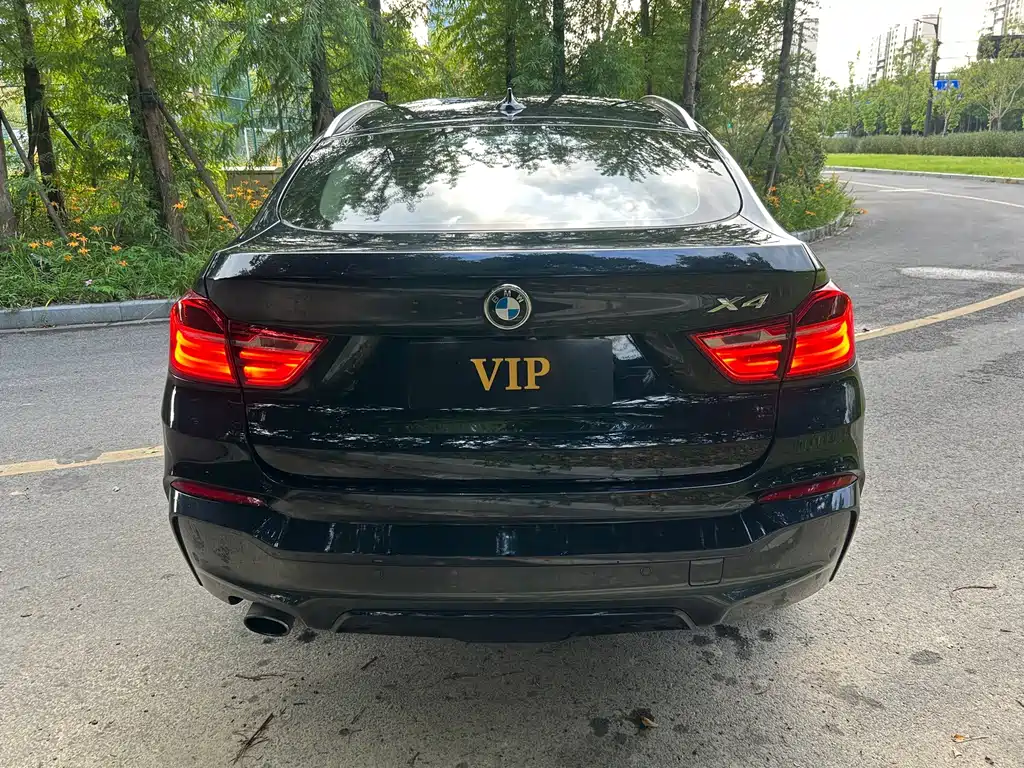 BMW X4 — миниатюра 6