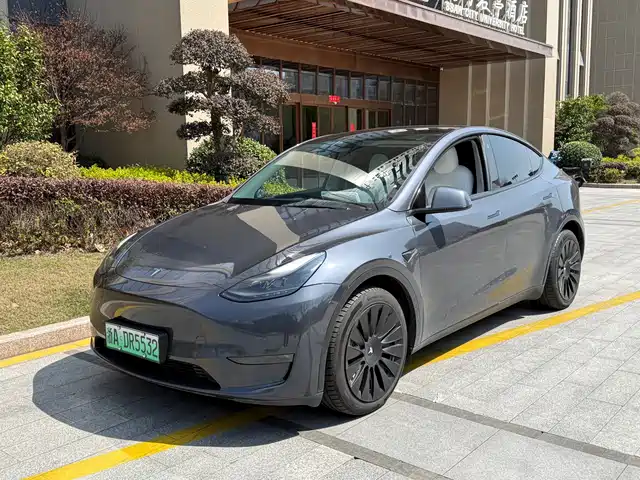 TESLA MODEL Y 2021