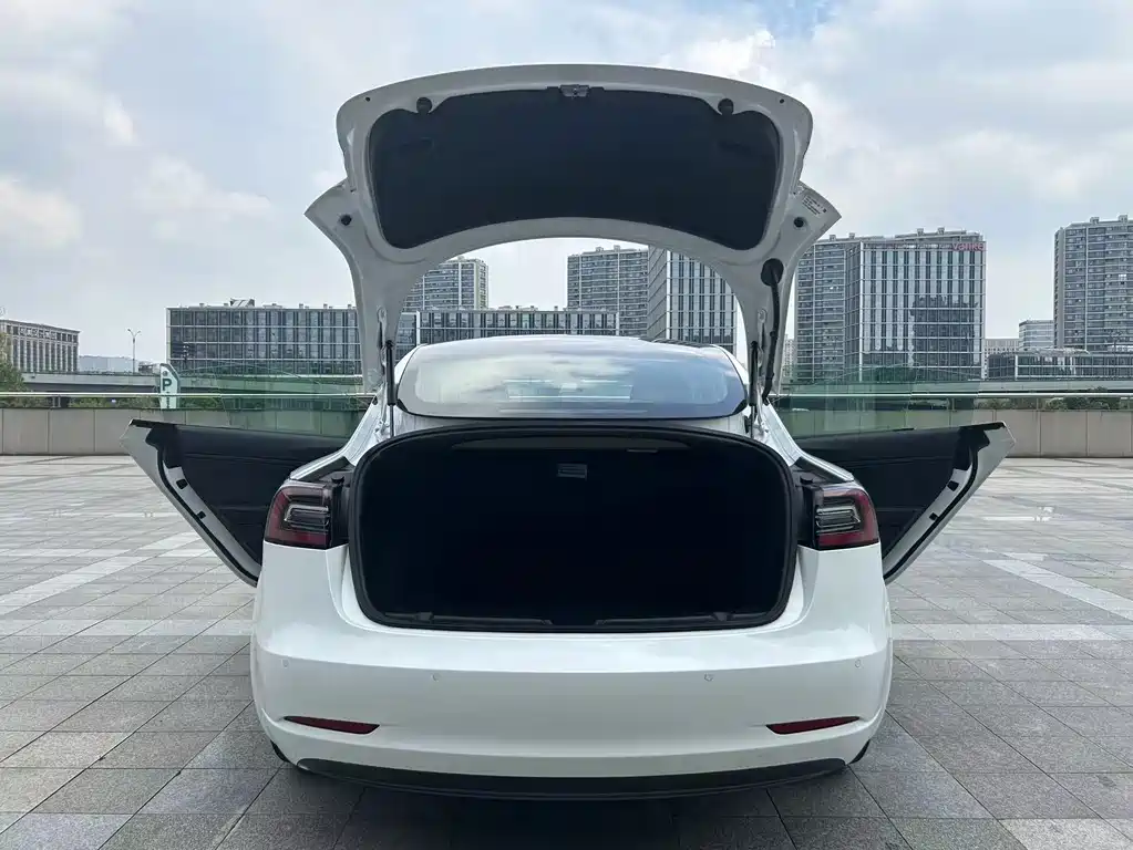 Tesla Model 3 — миниатюра 14