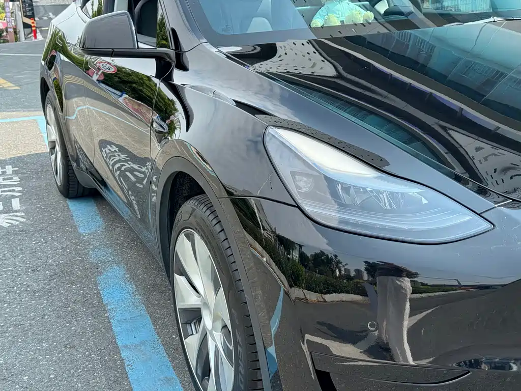 Tesla Model Y — миниатюра 15