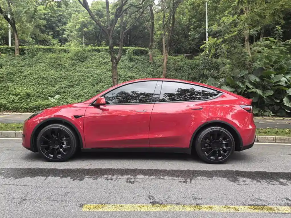 Tesla Model Y — миниатюра 8
